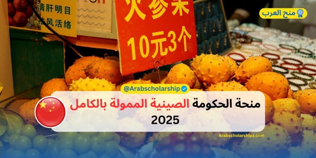 منحة الحكومة الصينية 2025