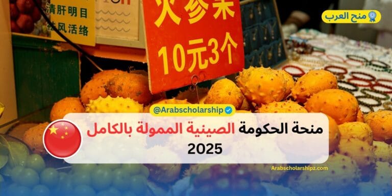 منحة الحكومة الصينية 2025