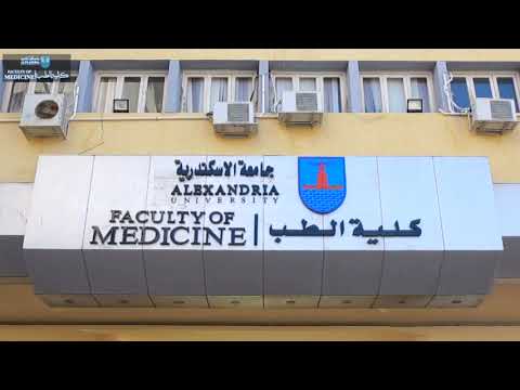 جامعة الإسكندرية جامعة الإسكندرية